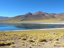 Laguna de Miscanti - Atacama - Chili